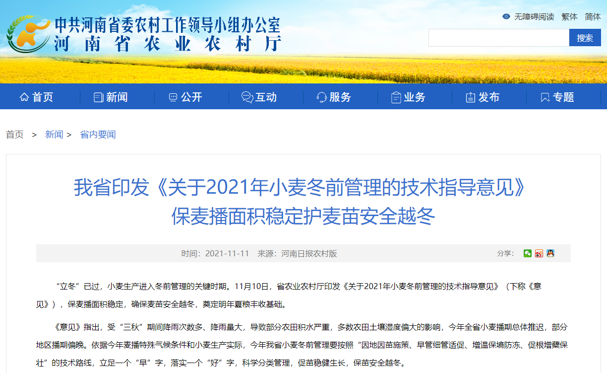 河南省印發(fā)《關(guān)于2021年小麥冬前管理的技術(shù)指導(dǎo)意見》 保麥播面積穩(wěn)定護(hù)麥苗