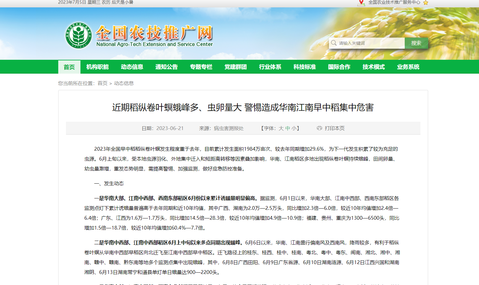 近期稻縱卷葉螟蛾峰多、蟲卵量大 警惕造成華南江南早中稻集中危害